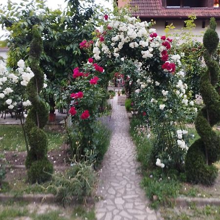 Pensiunea Sub Cetate Deva Exterior foto