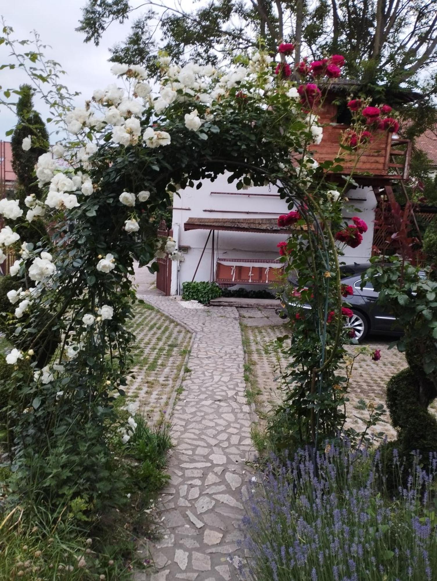 Pensiunea Sub Cetate Deva Exterior foto