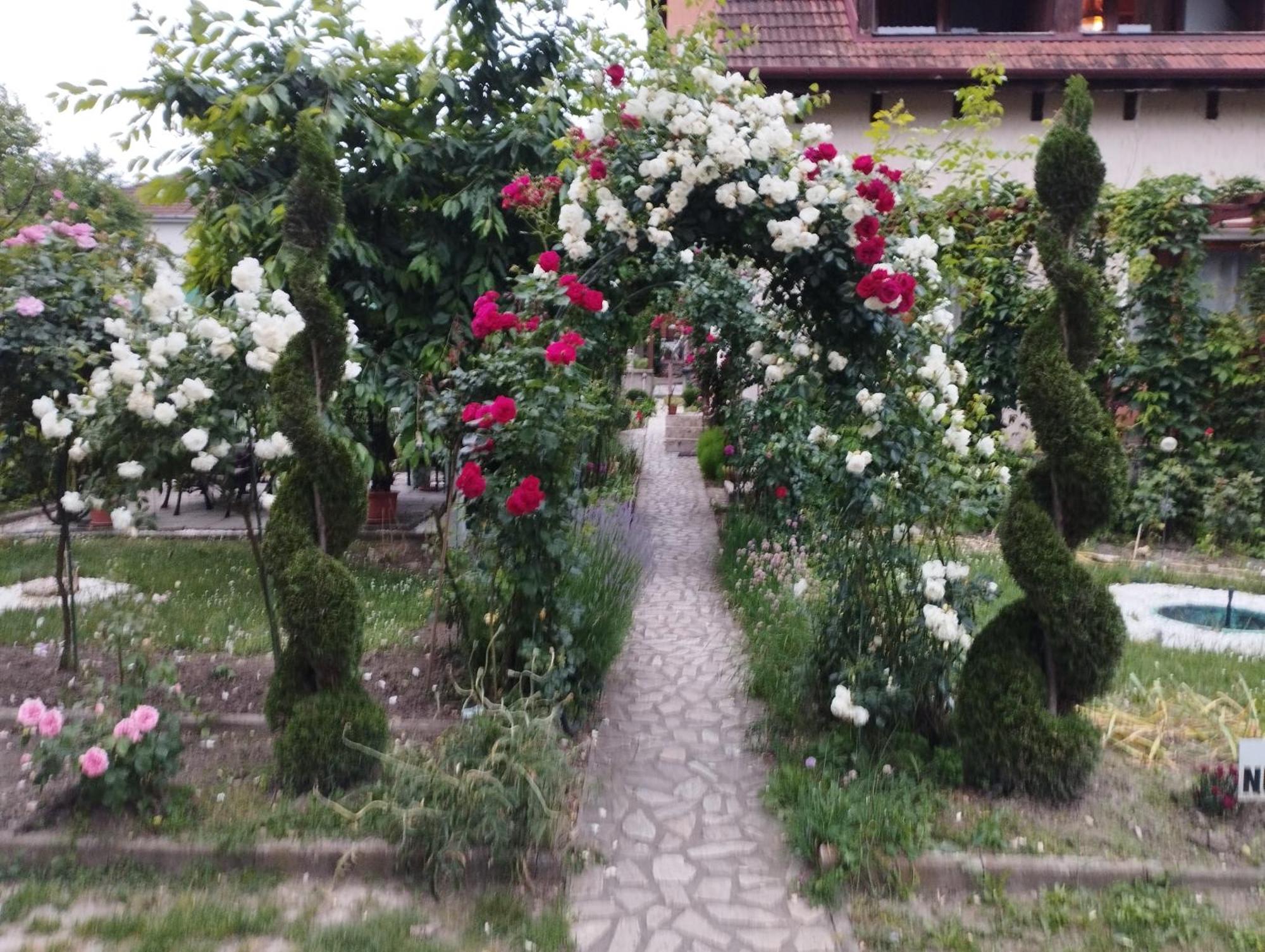 Pensiunea Sub Cetate Deva Exterior foto