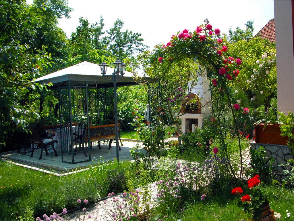 Pensiunea Sub Cetate Deva Exterior foto